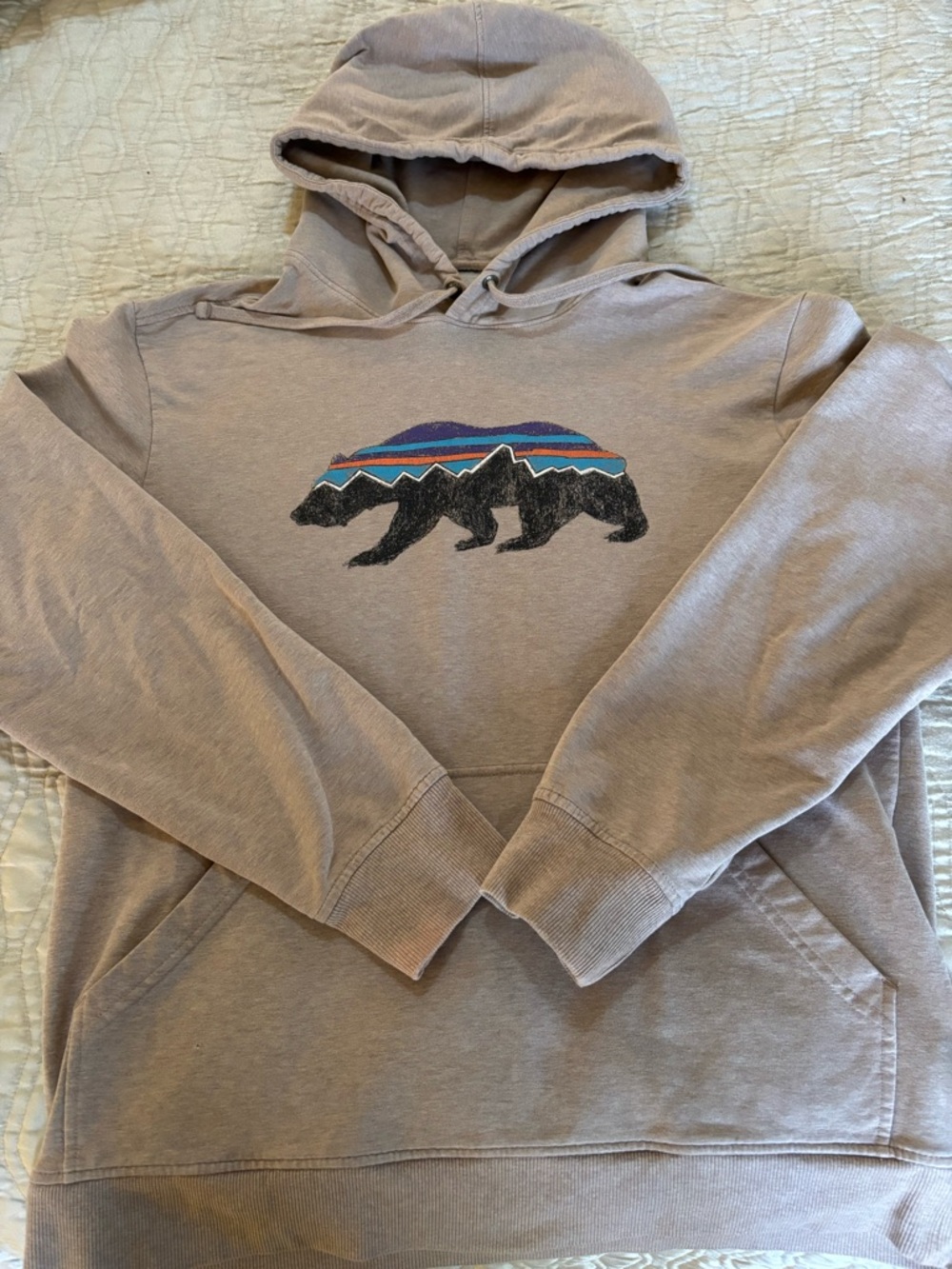 Patagonia Taupe Hoodie with Multicolor Bear Graphic